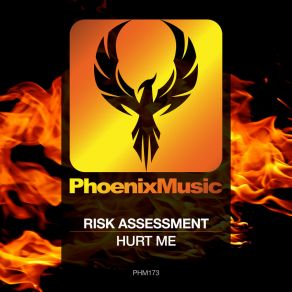 Download track Hurt Me (Original Mix) Risk Assessment