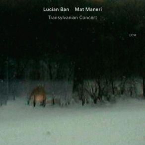 Download track Darn Mat Maneri, Lucian Ban