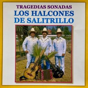 Download track La Tragedia De Zenaido Los Halcones De Salitrillo