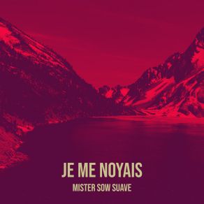 Download track Une Fois De Trop Mister Sow Suave