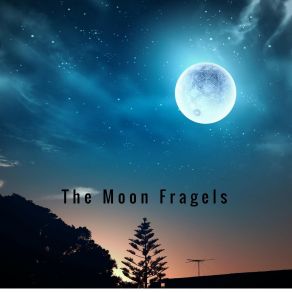 Download track A Fairy's Dream The Moon Fragels