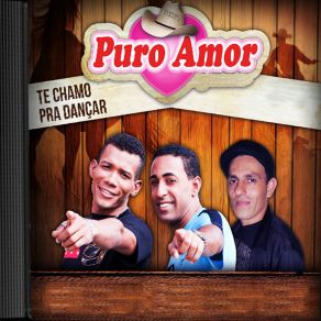 Download track Meu Coração Pede Carona Banda Puro Amor