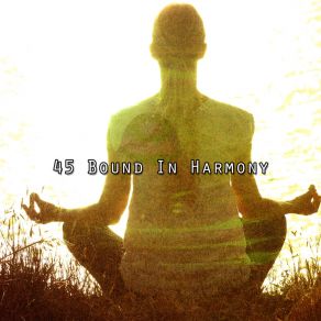 Download track Meditation Marathon Meditation Spa