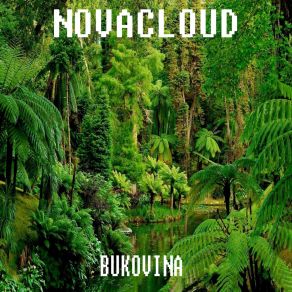 Download track Bukovina (Dance Edit Mix) Novacloud