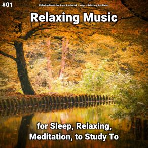 Download track Relaxation Music Part 66 Relaxing Spa Music