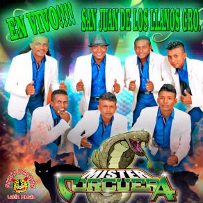 Download track La Chica Sensual (En Vivo) Mister Corcuera