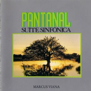 Download track Sinfonia Marcus Viana