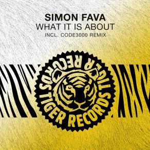 Download track What It Is About (Code3000 Intro Remix) Simon FavaCode3000