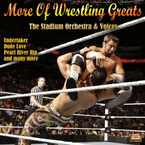 Download track Nation Of Domination The Stadium Orchestra