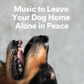 Download track Music To Leave Your Dog Home Alone In Peace, Pt. 13 Relax Nature Sounds Artists