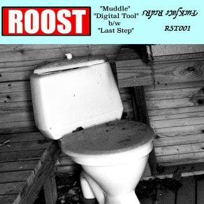 Download track Last Step Roost