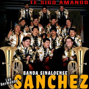 Download track Estúpido Corazón Banda Sinaloense Los Hermanos Sanchez