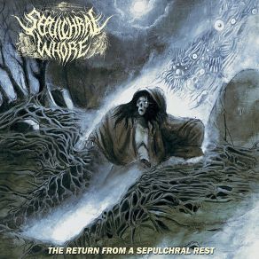 Download track Schizophrenic Killer Sepulchral Whore