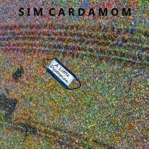 Download track Paperthin Skin Sim Cardamom