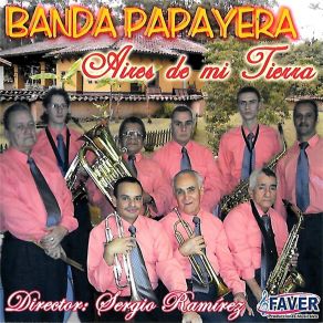 Download track El Guayabo De La Y Banda Papayera