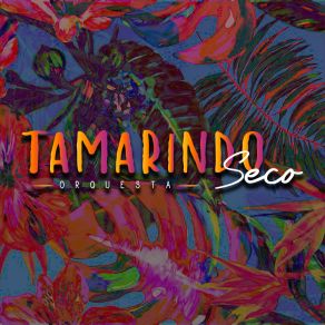 Download track Parranda En El Cafetal Orquesta Tamarindo