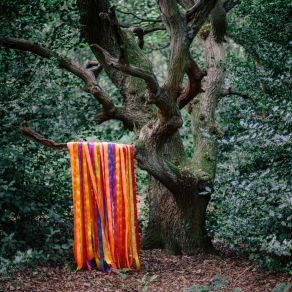 Download track Pass Through The Fire James Holden, The Animal Spirits