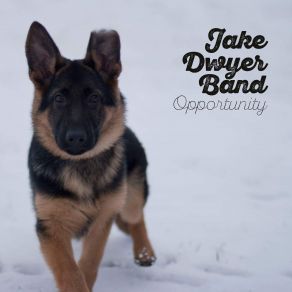 Download track The Eastern Shore Jake Dwyer Band