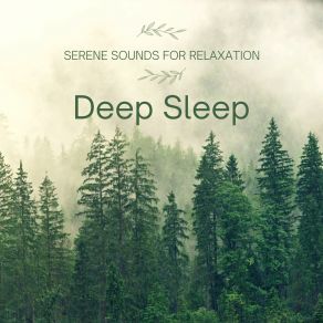 Download track Peaceful Pillow Playlist Deep Sleep