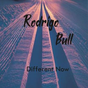 Download track World Of The Good Life Rodrigo Bull