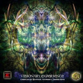 Download track Shamanism Experience Eternity, Ashuo Baba