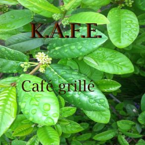 Download track Niage Kafe