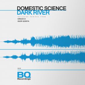 Download track Dark River Crack D'dub Rmx Domestic Science