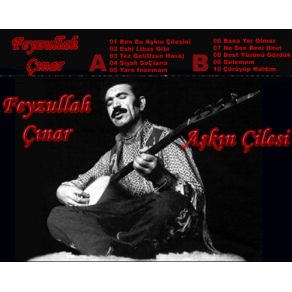 Download track Ne Sen Beni Unut Feyzullah Çınar