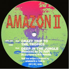 Download track Crazy Trip To The Tropics Amazon II