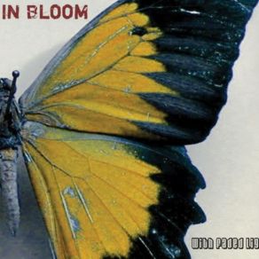 Download track Somewhere In Bloom