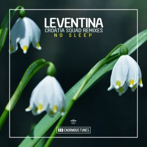 Download track No Sleep (Croatia Squad Dub Remix) LeventinaCroatia Squad