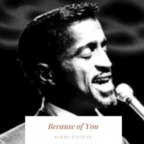 Download track Birth Of The Blues JRSammy Davis, Joseph Gershenson's Orchestra