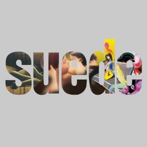 Download track Trash (Album Version) Suede