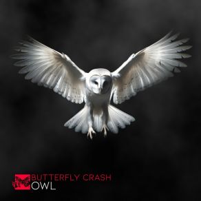 Download track Owl Butterfly Crash