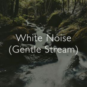 Download track Streamside Rain White Noise Collective