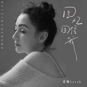 Download track 回忆困住我 爱琳Luvah