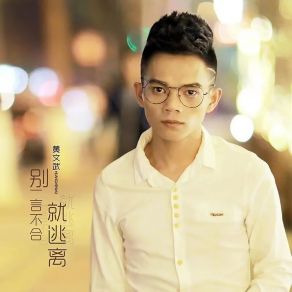 Download track 别一言不合就逃离 (DJ版伴奏) 黄文武