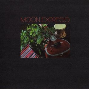 Download track Between My Inner World Moon Express