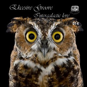 Download track Intergalactic Love Ekcesive Groove