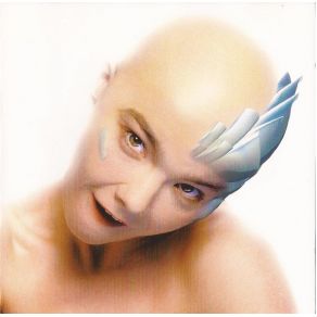 Download track Hunter (Album Version) Björk