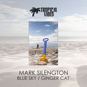 Download track Ginger Cat (Original Mix) Mark Silengton