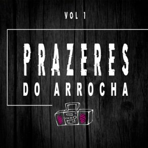 Download track Toma Novinha Prazeres Do Arrocha