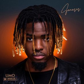 Download track Désolé Limo