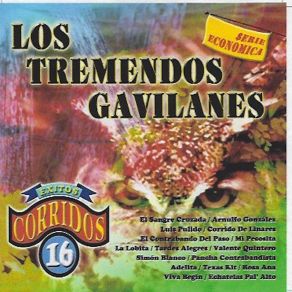 Download track Viva Begin Los Tremendos Gavilanes