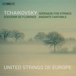 Download track Tchaikovsky: Serenade For Strings In C Major, Op. 48, TH 48: II. Valse Julian Azkoul, United Strings Of Europe