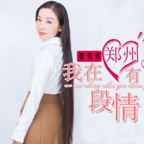 Download track 我在郑州有段情 梁芳芳