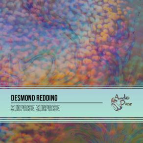 Download track Surprise Surprise (Original Mix) Desmond Redding