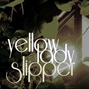 Download track Black Powdered Cloud Yellow Lady Slipper