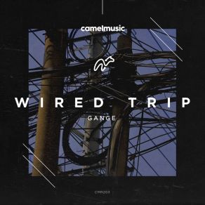 Download track Wired Trip (Original Mix) Gange