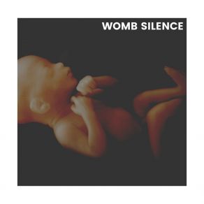 Download track Sleep Better At Night Sounds, Pt. 5 Womb Sounds Looped